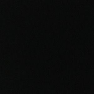 Meet your Posher, Carina